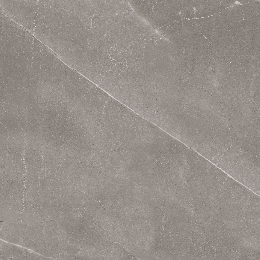 DSL-Armani6060-Pol-Gris.jpg