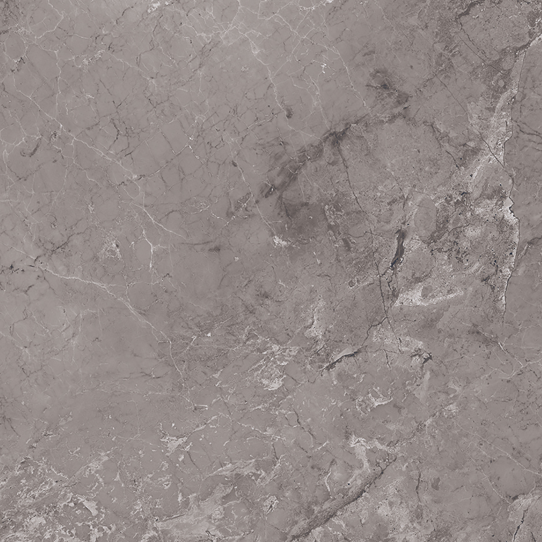 TM-Castano-60x60-Gris.jpg