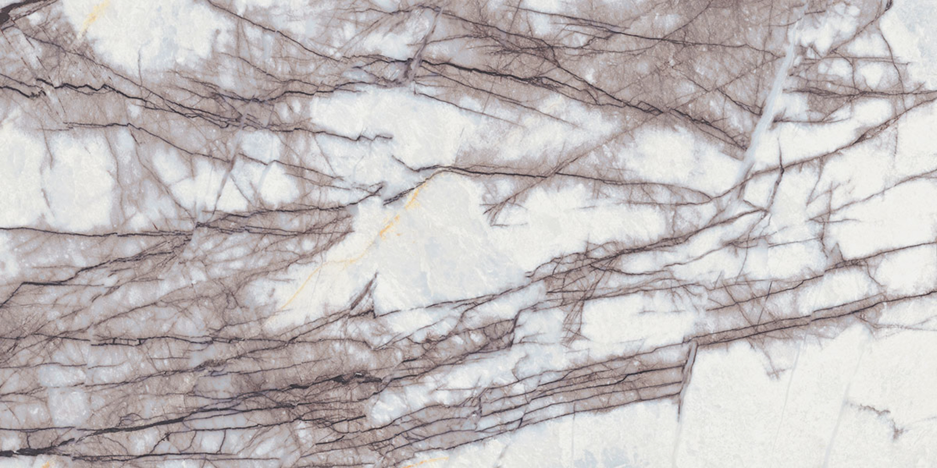 TM-LilacPurple-White-60x120.jpg